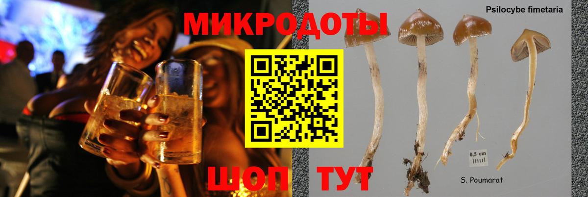 Псилоцибиновые грибы Psilocybe  Псилоцибиновые грибы мухоморы  наркотики  Вход с VPN  Владикавказ 